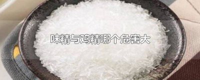 ​味精与鸡精哪个危害大 孕妇 味精与鸡精哪个危害大知乎