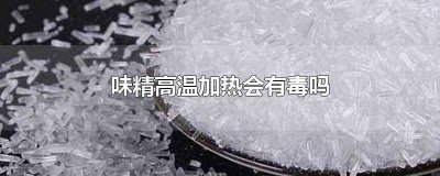 ​味精在高温下会产生有毒物质吗? 味精高温对人体有没有危害
