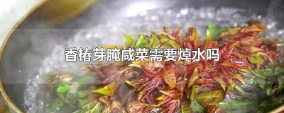 ​怎样腌椿芽咸菜 腌制香椿芽用不用焯水