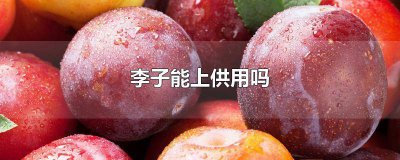​李子能不能做供品 李子能当供品吗