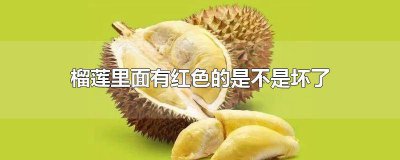 ​榴莲里面有红色的是不是坏了呀 榴莲里面发红是坏了吗