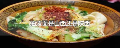 ​山西油泼面好吃吗 油泼面是陕西的吗