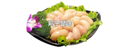 ​什么叫子鸡蛋 什么叫子鸡的作用