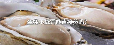 ​生蚝还用撬开蒸吗 生蚝撬不开可以直接蒸吗