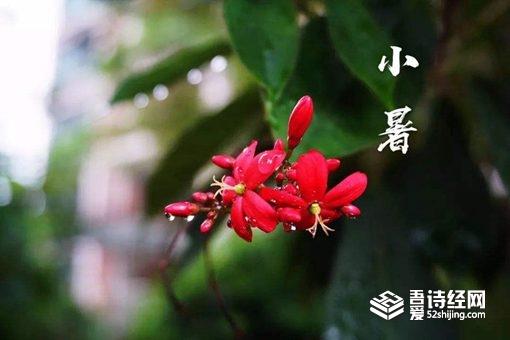 小暑有多热什么时候入伏?养生怎么做吃什么?