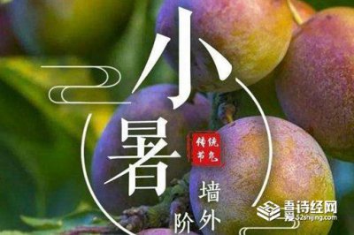 ​小暑有多热什么时候入伏?养生怎么做吃什么?