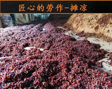 ​汾酒玉液酒53度价格表，汾酒集团玉酒多少钱
