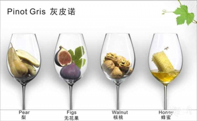 ​葡萄酒的口味区分(波尔多葡萄酒的口味特点)
