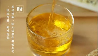 ​露酒是什么意思?(汾酒露酒是什么意思)
