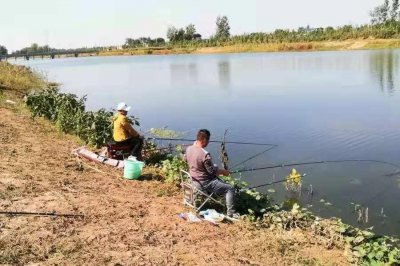 ​一般河里的大鲤鱼在什么位置（夏季钓鲤鱼的最佳钓点）