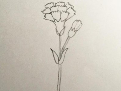 ​简笔画康奶馨的画法