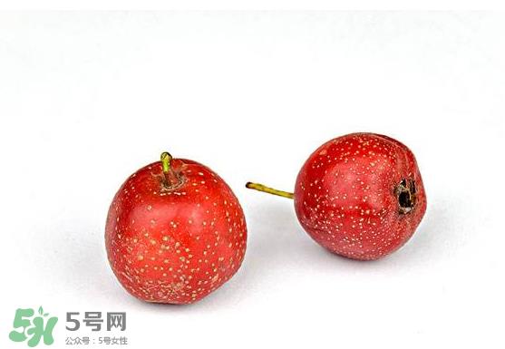 山楂和菊花能一起泡水喝吗？