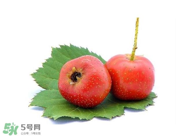 山楂和菊花能一起泡水喝吗？