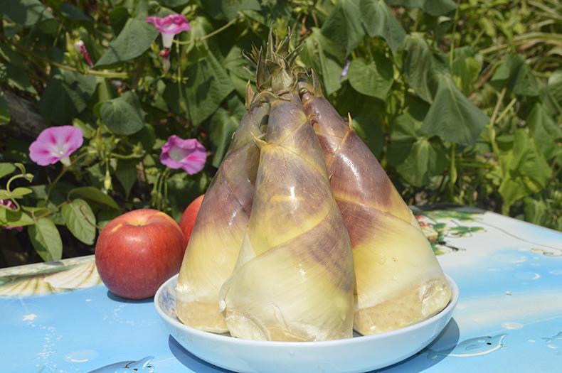 马蹄笋的功效与作用 马蹄笋的营养价值