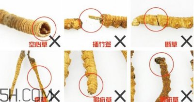 ​冬虫夏草有假的吗？冬虫夏草不抗癌
