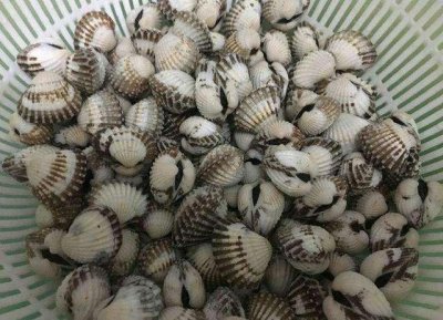 ​潮汕美食之血蛤