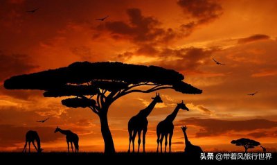 ​非洲美女最多的三大国家：当地女生热情美丽，街上随处可见