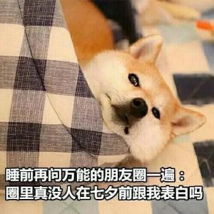 ​单身狗七夕表情包合集