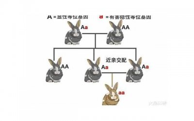 ​为什么要懂得感恩？