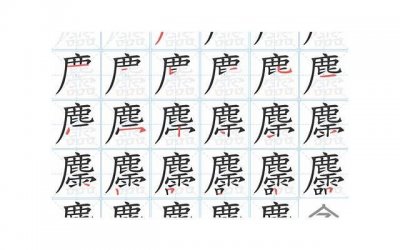 ​爸妈离婚孩子怎么劝说她