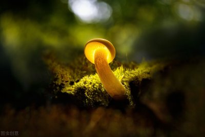 ​全封闭式学校有哪些？(附全国十大封闭式学校排名)