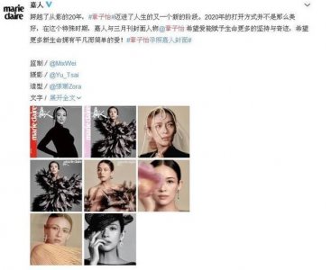 ​章子怡孕肚封面曝光什么样的 章子怡孕肚封面怀孕几个月拍的