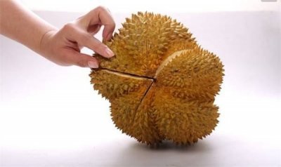 ​榴莲的功效与作用（富含维生素以及矿物质 但这种人最好不要碰）