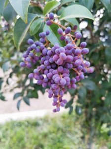 ​“错把陈醋当成墨 ， 写进半生纸上酸”