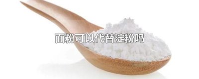 ​面粉可以代替淀粉吗