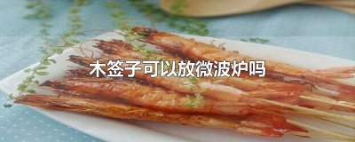 ​木签子可以放微波炉吗