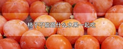 ​柿子不能跟什么水果一起吃