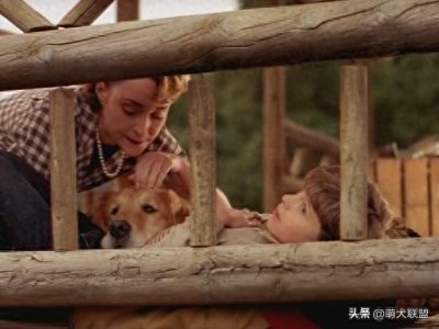 ​盘点影视中的狗狗第三期——《忠狗德拉姆》