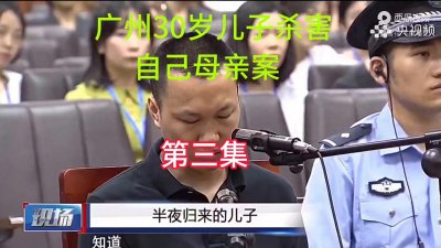 ​广州30岁儿子为了骗保杀害自己母亲案真实案件记录