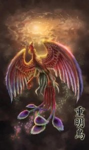 ​山海经重明鸟