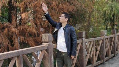 ​有种冬季会变色的树：落羽杉