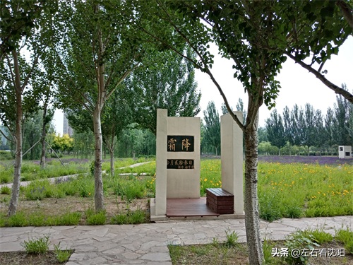 沈北“七星公园-开阳园”实景图片