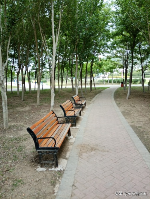 沈北“七星公园-开阳园”实景图片