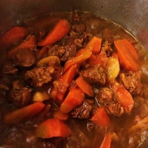 ​#一学就会快手菜#高压锅胡萝卜炖羊肉