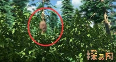 ​熊出没中，我认为最恐怖的两集