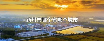 ​新州市哪个省哪个城市