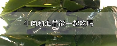 ​牛肉和海带能一起吃吗
