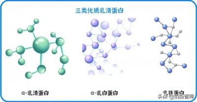 ​α-乳白蛋白、乳铁蛋白好处多，这19款奶粉居然都添加了？