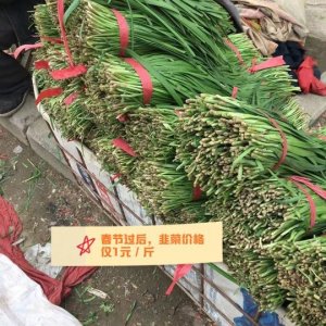 ​“青菜贩子，赚一半子”，从事蔬菜零售，利润有多大？