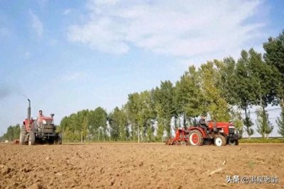 ​小麦使用哪种含量的复合肥作底肥好？高产田应如何施肥