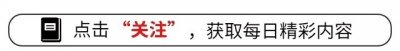 ​一坐就是一天！盘点7款超耐玩PC精品游戏！快来加入你的游戏库吧