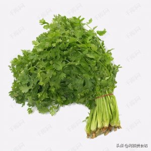 ​私房菜（34）凉拌香菜，做法简单脆爽美味，想吃就动手吧？