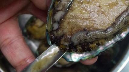 鲍鱼整个蒸需要多长时间熟,蒸鲍鱼的最佳时间是多少分钟啊图6