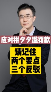 ​拼多多要罚我10万怎么办 起诉拼多多滥罚款，两个要点三点反驳