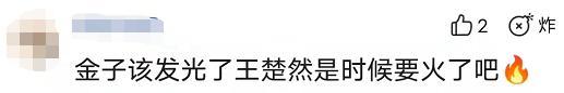 王楚然演过什么电视（王楚然演过的电视剧）(图4)