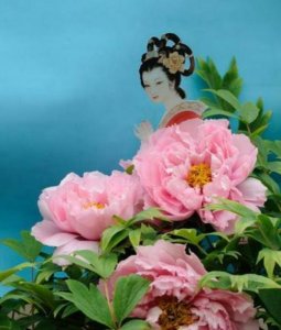 ​牡丹仙子的传说讲的什么故事？牡丹仙子的传说的结局是什么？